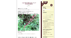 Desktop Screenshot of blogn.tsubaya.com