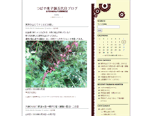 Tablet Screenshot of blogn.tsubaya.com